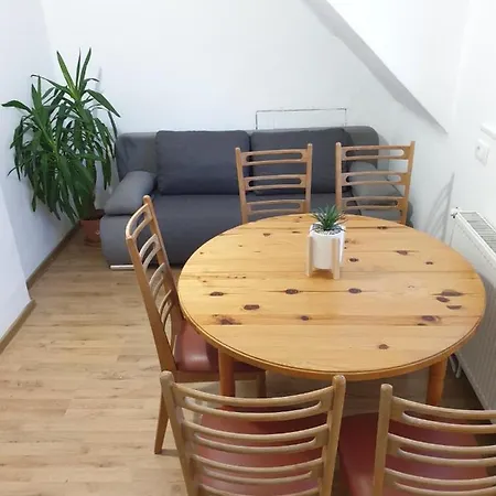 Huge Bbq Garden 2, Spacious Flat, Ac, Free Parking 2 Ljubljana