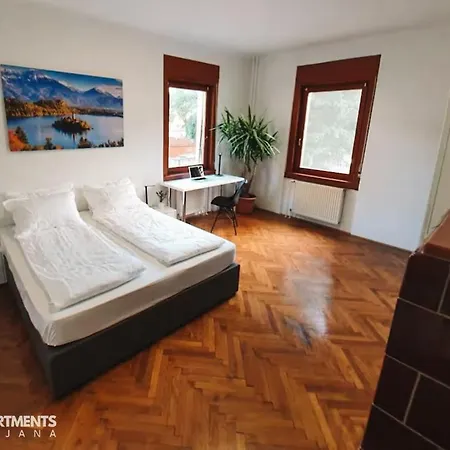 Huge Bbq Garden 2, Spacious Flat, Ac, Free Parking 2 * Ljubljana