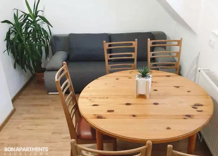 Huge Bbq Garden 2, Spacious Flat, Ac, Free Parking 2